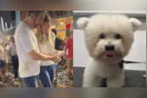 A escolha do local e da ocasião se deu também porque o cachorro costumava acompanhá-los no trajeto de Trasladação e Círio de Nazaré em todos os anos.