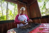 Com respeito aos saberes tradicionais e à diversidade sociocultural amazônica, as empreendedoras paraenses movimentam cadeias produtivas do Pará