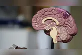 Além da idade e da genética, fatores como hipertensão, diabetes, sedentarismo e distúrbios do sono também podem aumentar o risco de demência, segundo especialistas.