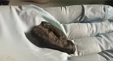 Imagem ilustrativa da notícia: Entenda como foi a descoberta do "chiclete" pré-histórico!