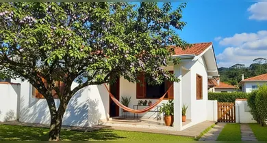 Imagem ilustrativa da notícia: Saiba qual é a árvore ideal para casas pequenas