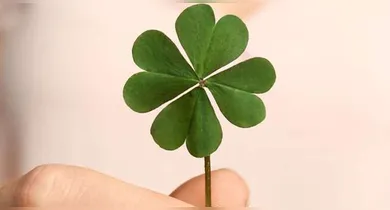 Imagem ilustrativa da notícia: Previsão astrológica visa maré de sorte para três signos