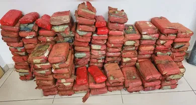 Imagem ilustrativa da notícia: Operação apreende mais de 300 kg de drogas em Ananindeua