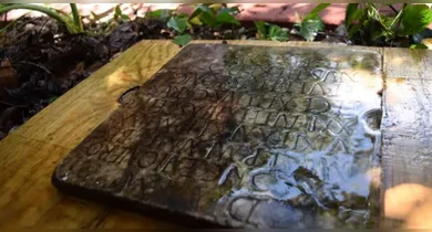 Imagem ilustrativa da notícia: Lápide de 1.900 anos é descoberta em quintal nos EUA