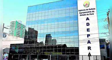 Imagem ilustrativa da notícia: Adepará abre processo seletivo com salários de até R$ 2,7 mil