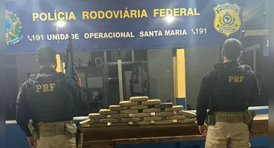 Imagem ilustrativa da notícia: PRF apreende 26 kg de skunk durante fiscalização na BR-316, no Pará