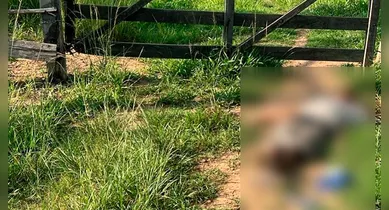 Imagem ilustrativa da notícia: Corpo com ferimento na cabeça é encontrado em Ourilândia do Norte