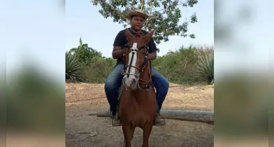 Imagem ilustrativa da notícia: Jovem morre após colidir com cavalo solto na rodovia
