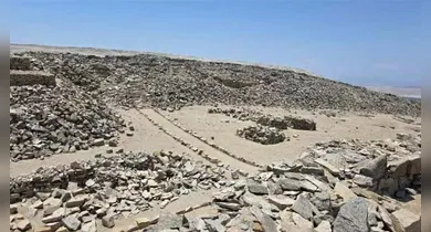 Imagem ilustrativa da notícia: Expedição busca paradeiro do explorador que inspirou Indiana Jones