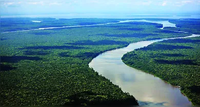 Imagem ilustrativa da notícia: Alertas de desmatamento têm redução de 61% no Pará