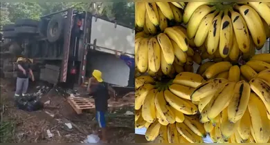 Imagem ilustrativa da notícia: Caminhão com bananas tomba na BR-316 e carga é saqueada no Pará
