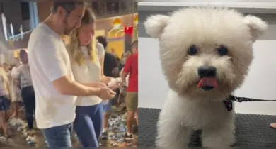 Imagem ilustrativa da notícia: Família joga no Círio as cinzas de cachorro que acompanhava as romarias
