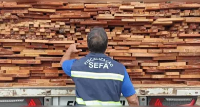 Imagem ilustrativa da notícia: Sefa apreende carga irregular de madeira na divisa entre Pará e Maranhão