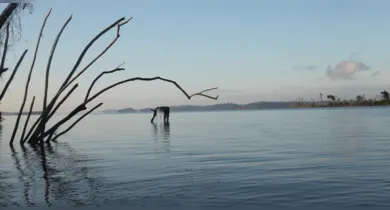 Imagem ilustrativa da notícia: Filme “Xingu: Nosso Rio Sagrado” abre AmazôniaFiDoc 2025