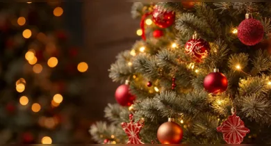Imagem ilustrativa da notícia: Quando montar a Árvore de Natal em 2024? veja a data certa