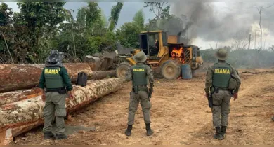 Imagem ilustrativa da notícia: Ibama e Incra lançam edital com 60 vagas e salários de até R$ 11 mil