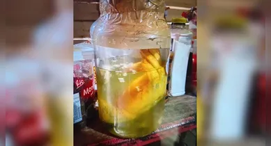 Imagem ilustrativa da notícia: Mão humana é encontrada durante operação policial no Marajó