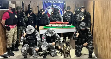 Imagem ilustrativa da notícia: Óbidos: mais de 16 kg de drogas são apreendidos em fiscalização