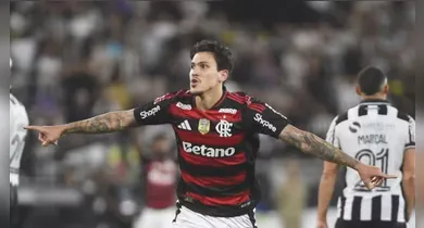 Imagem ilustrativa da notícia: Flamengo vence Botafogo e segue na caça ao líder Palmeiras