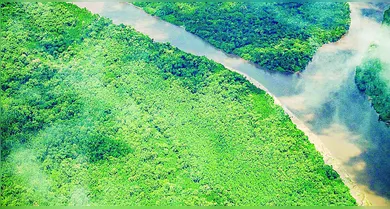 Imagem ilustrativa da notícia: Pará reduz queimadas graças a ações do Governo estadual