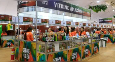 Imagem ilustrativa da notícia: Feira do Artesanato do Círio termina nesta quarta, 15. Participe!