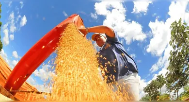 Imagem ilustrativa da notícia: Produção agrícola: Brasil deve ter safra recorde em 2025