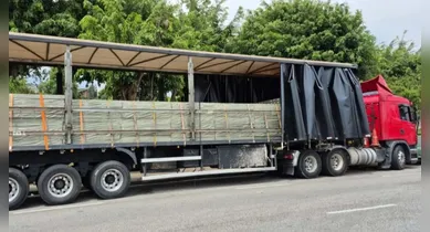 Imagem ilustrativa da notícia: Sefa apreende madeira ecológica avaliada em mais de R$ 800 mil