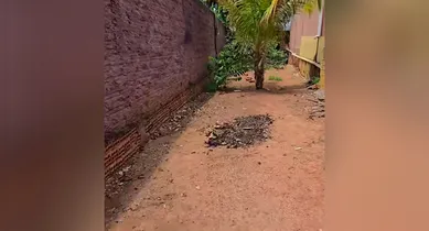 Imagem ilustrativa da notícia: Corpo de empresário desaparecido é encontrado enterrado em quintal