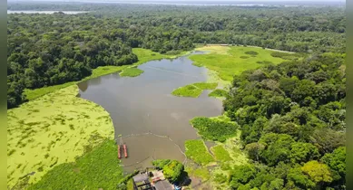 Imagem ilustrativa da notícia: Adolescente desaparecido é encontrado morto no Parque do Utinga