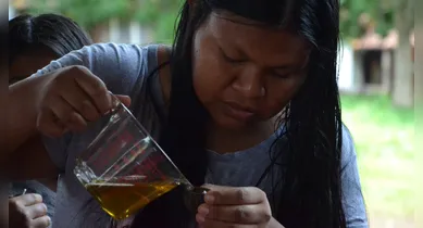 Imagem ilustrativa da notícia: Bioeconomia indígena impulsiona a sustentabilidade na Amazônia