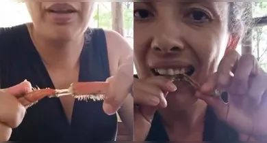 Imagem ilustrativa da notícia: VÍDEO: Paraense ensina "técnica no dente" para comer caranguejo