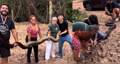 Imagem ilustrativa da notícia: VÍDEO: Sucuri grávida de 4,5 metros é resgatada em campus da UFPA