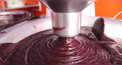 Imagem ilustrativa da notícia: Açaí, banana da terra e castanha-do-Pará  fortalecem leite materno