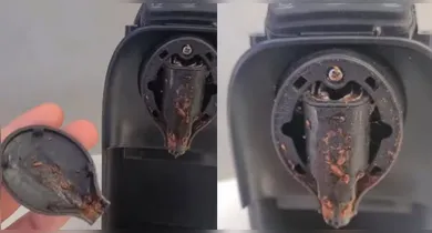 Imagem ilustrativa da notícia: Vídeo mostra cafeteira infestada de larvas. Saiba como evitar e limpar