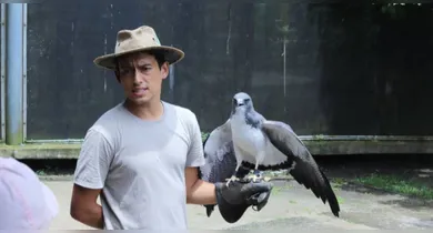 Imagem ilustrativa da notícia: Mangal das Garças tem programação especial no Dia Mundial da Falcoaria