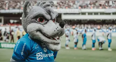 Imagem ilustrativa da notícia: Paysandu completa 30 rodadas no Z-4 das 33 disputadas na Série B