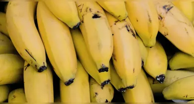 Imagem ilustrativa da notícia: Descubra método que mantém bananas frescas por até 16 dias