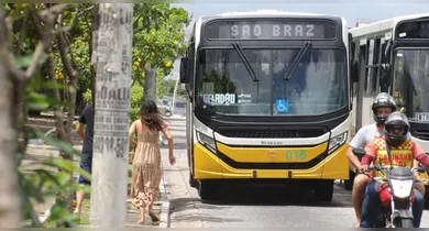 Imagem ilustrativa da notícia: Belém terá ônibus gratuitos nos feriados de 6 e 7 de Novembro