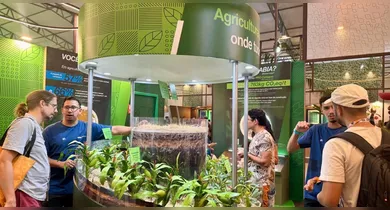 Imagem ilustrativa da notícia: Belém no mapa da economia verde: a virada sustentável impulsionada pela COP30