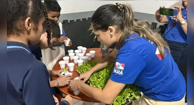 Imagem ilustrativa da notícia: Pará recebe premiação por avanços na redução da insegurança alimentar