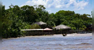 Imagem ilustrativa da notícia: Casas ecológicas em ilha de Belém serão feitas com tijolos de açaí