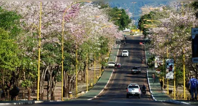 Imagem ilustrativa da notícia: Prefeitura de Parauapebas abre concurso com salário de R$ 12 mil