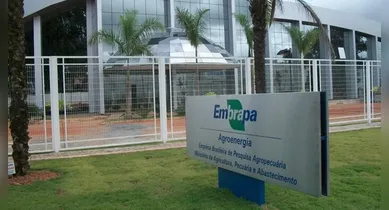 Imagem ilustrativa da notícia: Embrapa abre cursos gratuitos e totalmente online; saiba mais