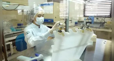 Imagem ilustrativa da notícia: Uepa abre vagas para pós em Biologia Parasitária na Amazônia