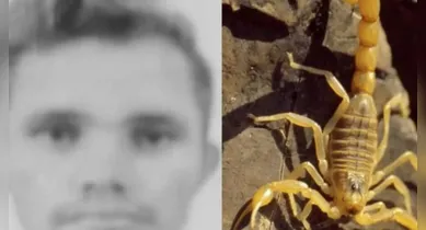 Imagem ilustrativa da notícia: Homem morre após ser picado por escorpião no Pará