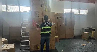 Imagem ilustrativa da notícia: Sefa-PA apreende tênis falsos e luminárias irregulares em regiões distintas do Pará