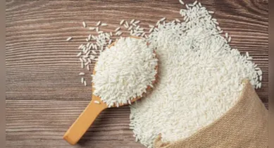 Imagem ilustrativa da notícia: Alimento número 1 do Brasil, Anvisa fiscaliza veneno em arroz