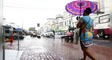 Imagem ilustrativa da notícia: Sespa alerta sobre risco das arboviroses no inverno amazônico