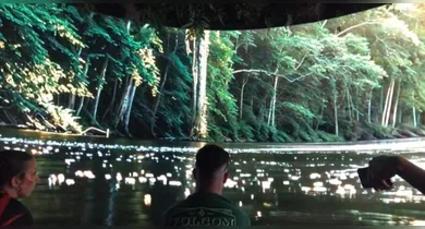 Imagem ilustrativa da notícia: Amazônia ganha espaço no The Town com experiência imersiva