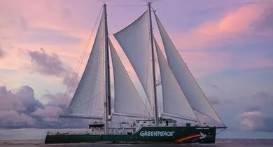 Imagem ilustrativa da notícia: Navio do Greenpeace em Belém: veja quando e como visitar de graça